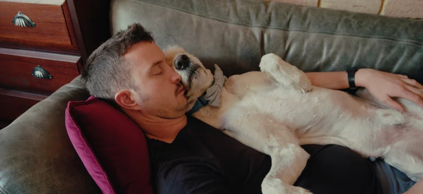 Sieste en structure vétérinaire : simple rêve ou v