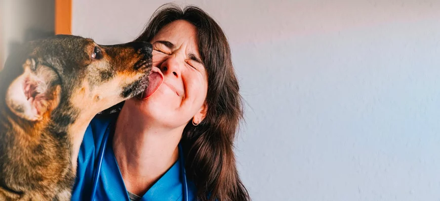 Retour à la pratique vétérinaire après une longue 