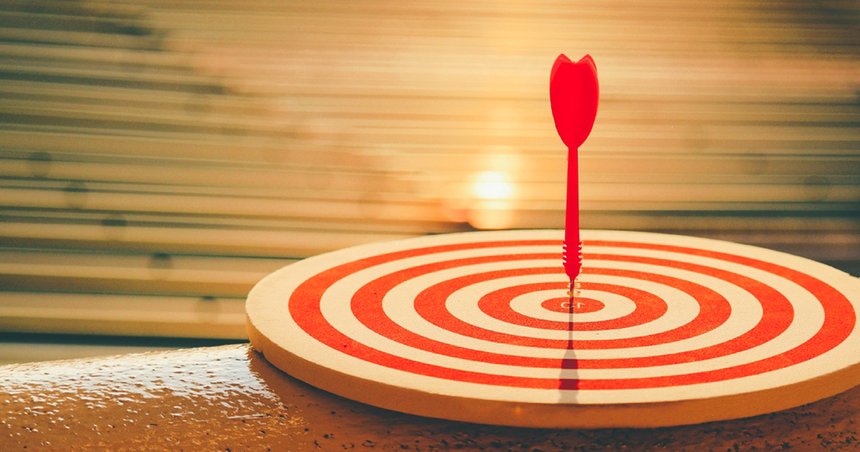 Le perfectionnisme chez les vétérinaires : force ou piège insidieux ?