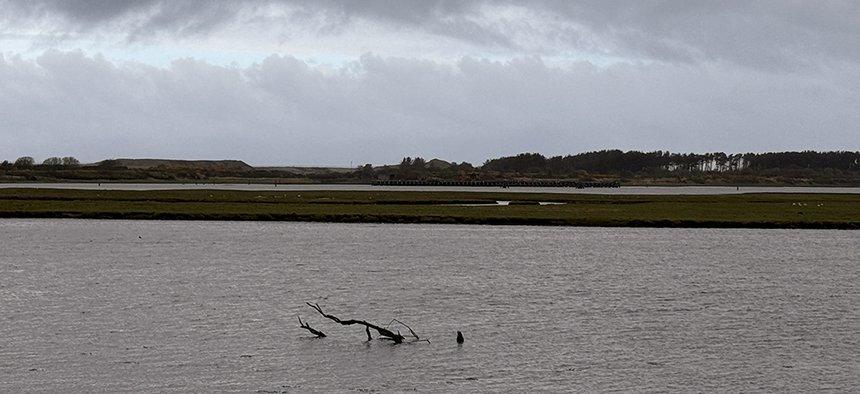 Grands espaces, ciel de velours et terre sauvage : l'Écosse nature dans toute sa splendeur