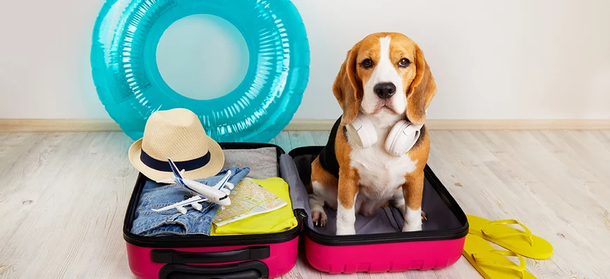 9 questions à poser à un client qui part en voyage