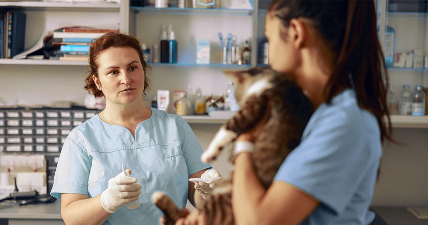 Syndrome de l’imposteur chez les vétérinaires : ces ASV qui peuvent faire la différence