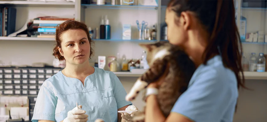 Syndrome de l’imposteur chez les vétérinaires : ce
