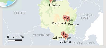 { element.images.0.titre }}