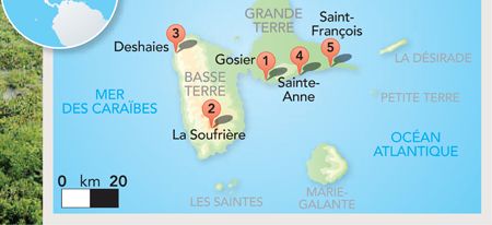 { element.images.0.titre }}