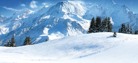 { element.images.0.titre }}