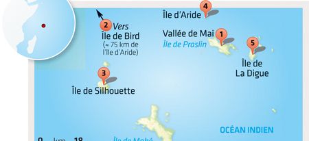 { element.images.0.titre }}
