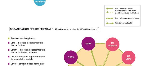 { element.images.0.titre }}