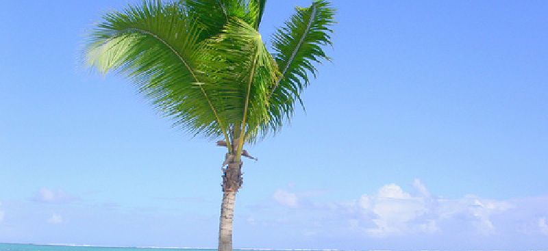 { element.images.0.titre }}