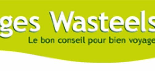 { element.images.0.titre }}
