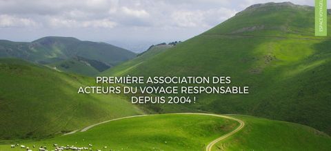{ element.images.0.titre }}