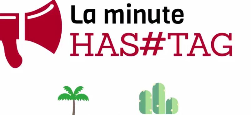{ element.images.0.titre }}
