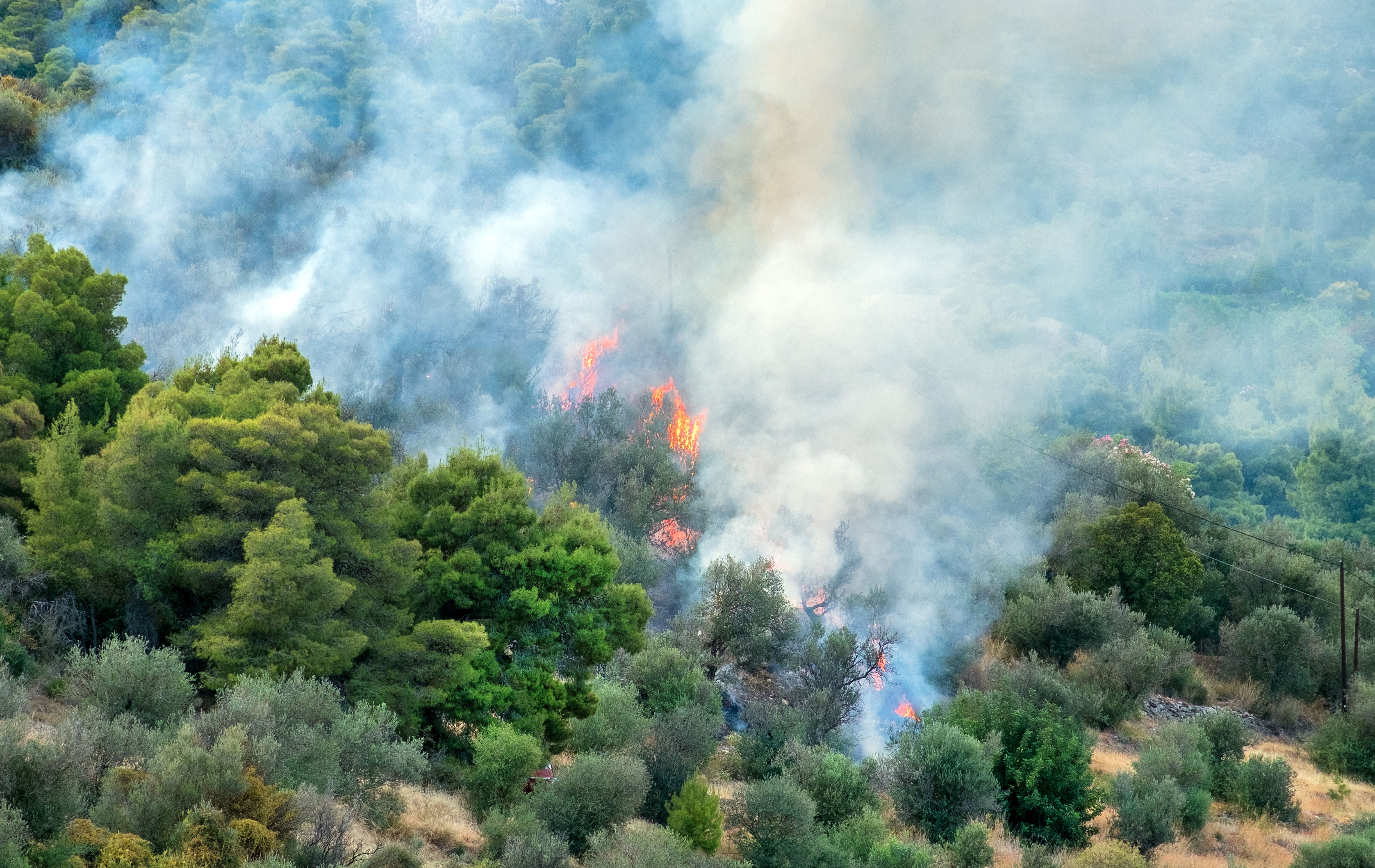 Incendies en Grèce : le point sur la situation 