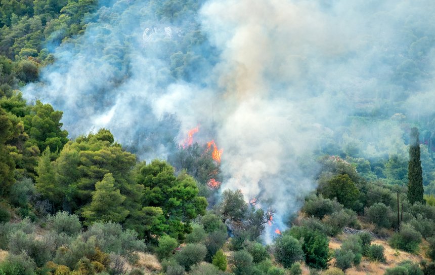 Incendies en Grèce : le point sur la situation