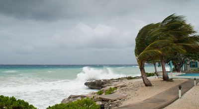 Typhon au Japon et tempête tropicale aux États-Unis : les infos à connaître 