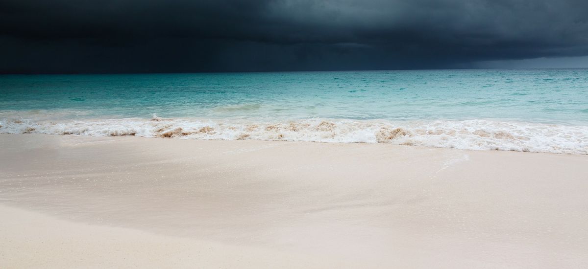 { element.images.0.titre }}