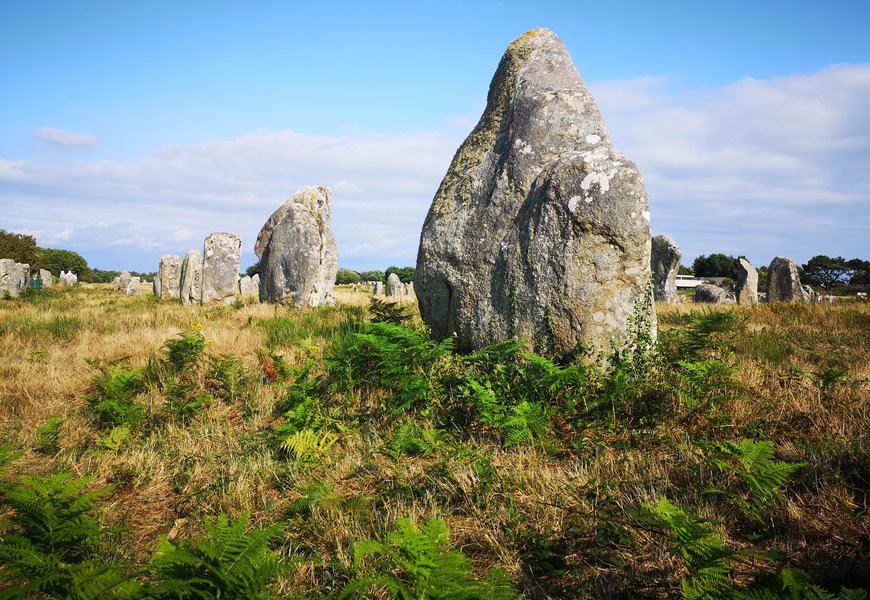 Morbihan Un Duo Gagnant Gagnant Entre Terre Et Mer Bus - 