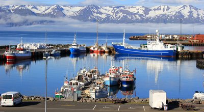 Traineau, tricot, bains chauds... Island Tours dévoile sa production hivernale 2018-2019 