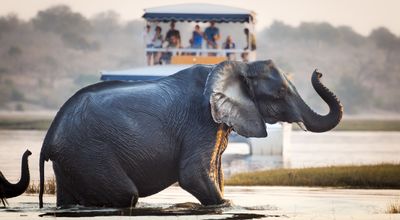 Globaltours, le groupe de Nortours, rachète un spécialiste du voyage sur mesure 