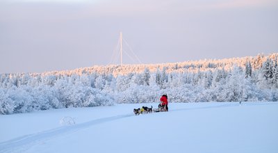 Les Entreprises du Voyage s'envolent pour la Laponie suédoise : découvrez le programme ! 