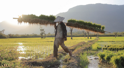 Laos, Thaïlande, Inde, Sri Lanka, Nouvelle-Zélande : les dernières formalités à connaître 