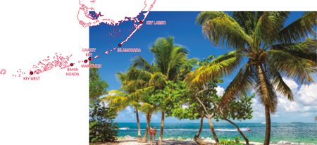{ element.images.0.titre }}
