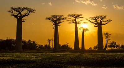 Australie, Laos, Iran, Chine, Inde, Madagascar, Sri Lanka : tout savoir sur les nouvelles formalités 