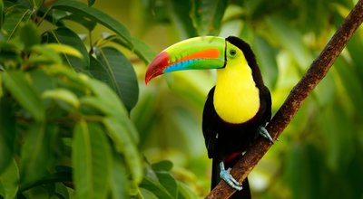 Pourquoi Austral Lagons s’ouvre à l’Amérique du Sud 