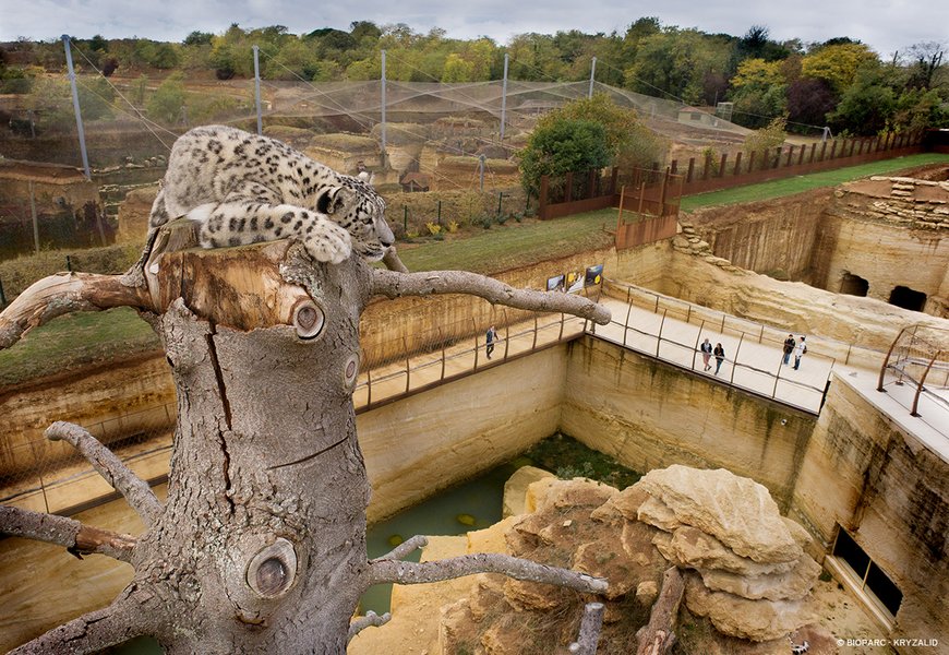 Le Bioparc de DouélaFontaine élu 2ème meilleur zoo d’Europe Bus & Car Tourisme de Groupe Le Bioparc de DouélaFontaine élu 2ème meilleur zoo d’Europe Bus & Car Tourisme de Groupe