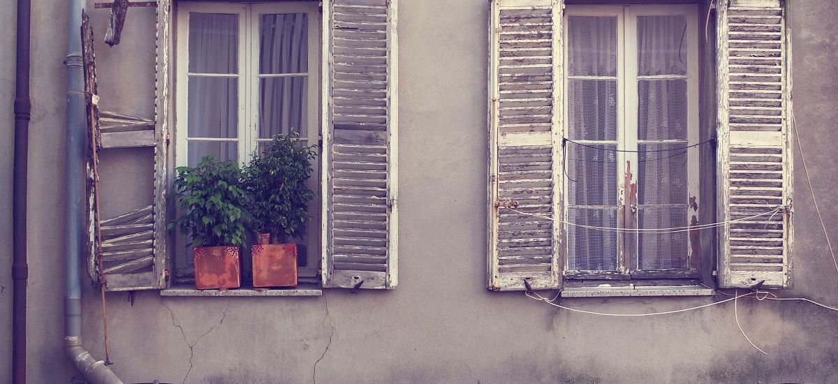 { element.images.0.titre }}