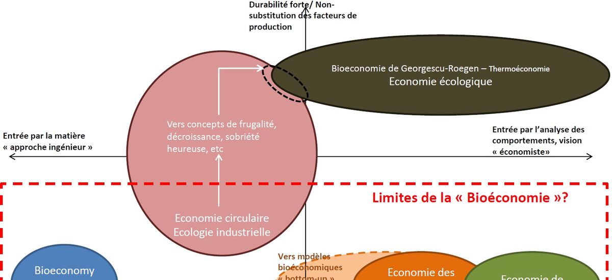 { element.images.0.titre }}